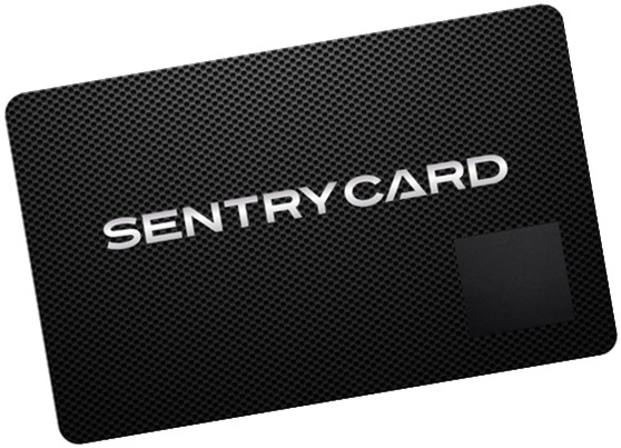 sentry img